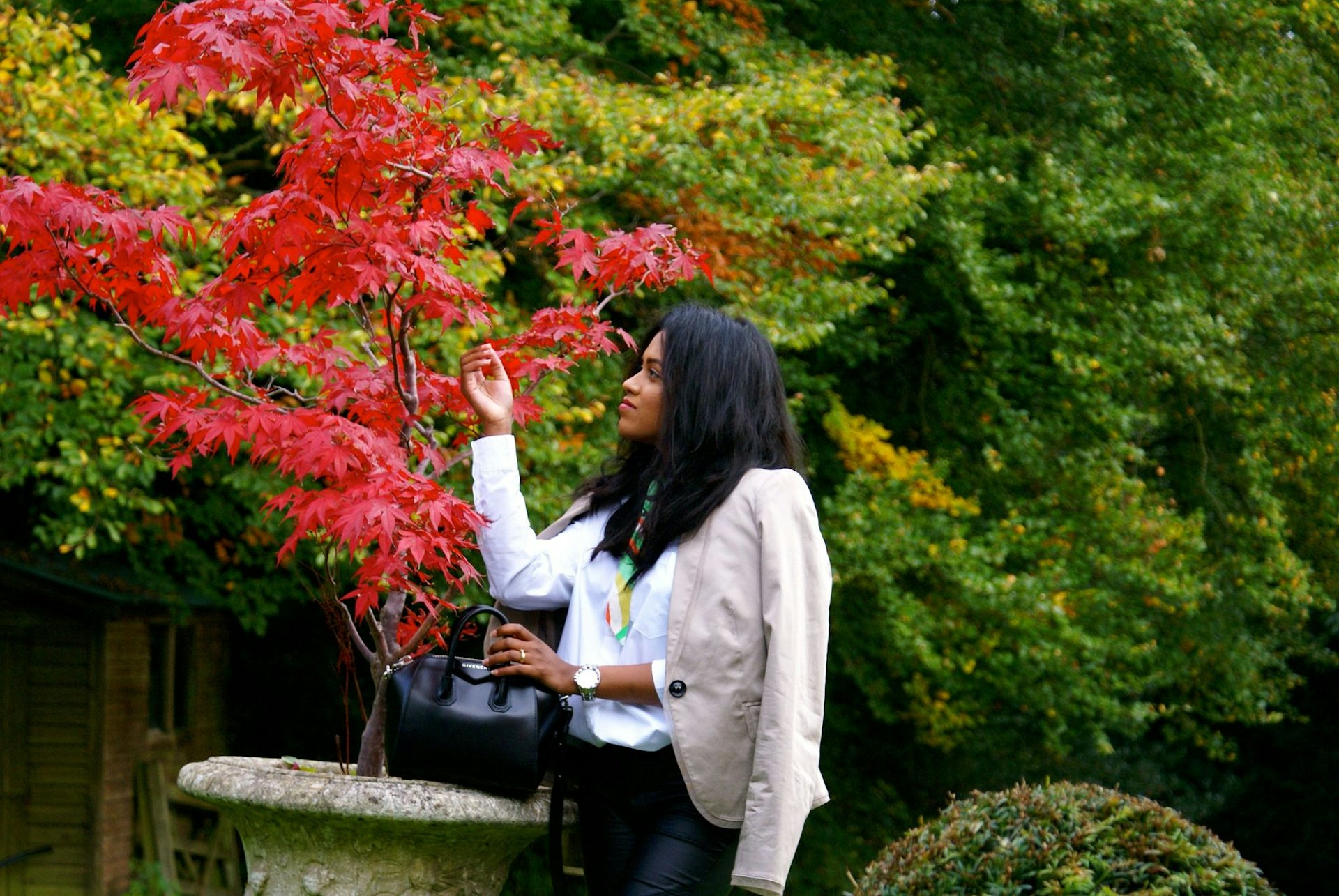 Sachini in a park in autumn