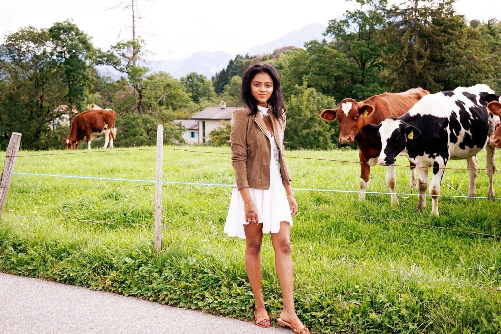 Sachini wearing a brown jacket and white dress in an outdoor environment with cows